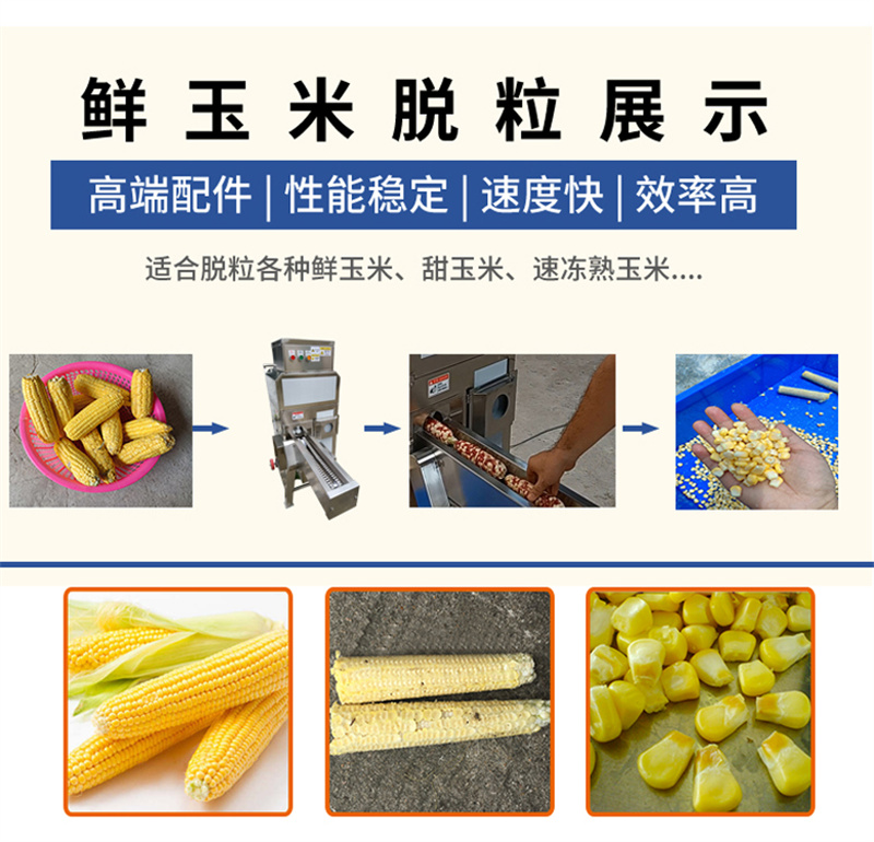 澳门全年免费原料网