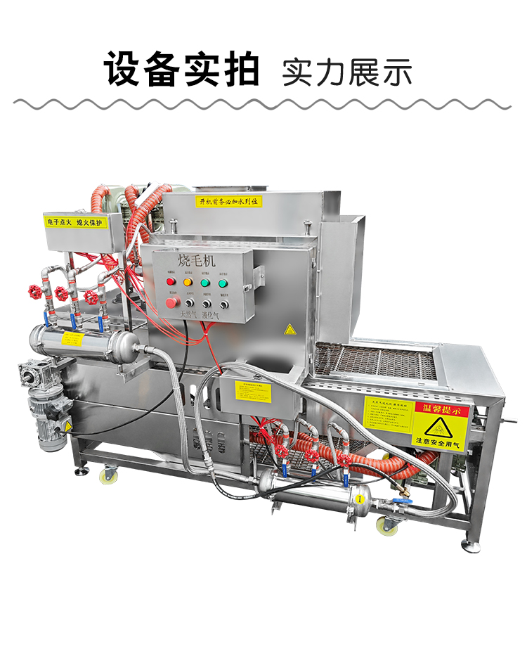 澳门全年免费原料网